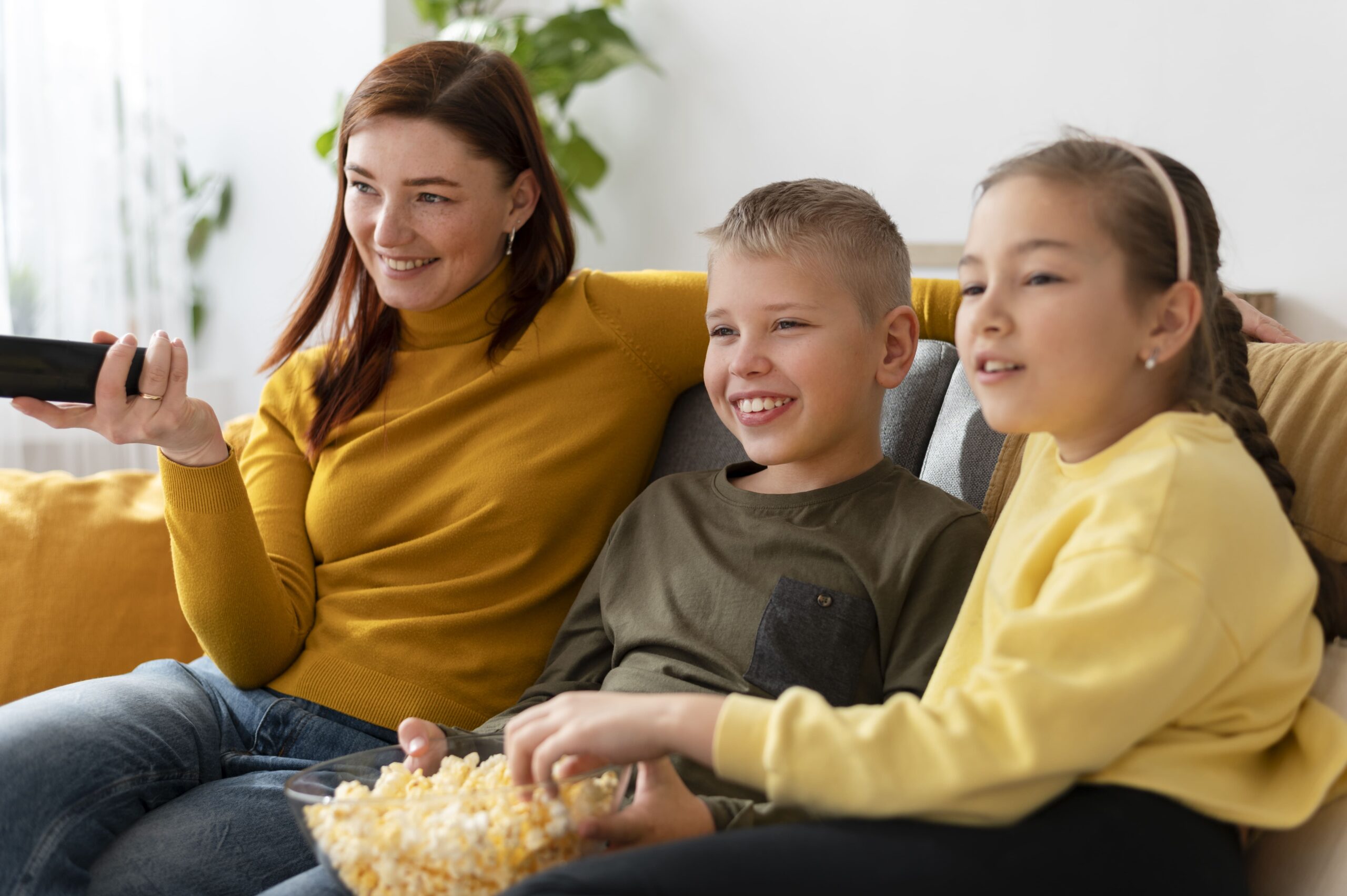 Nederlandse IPTV